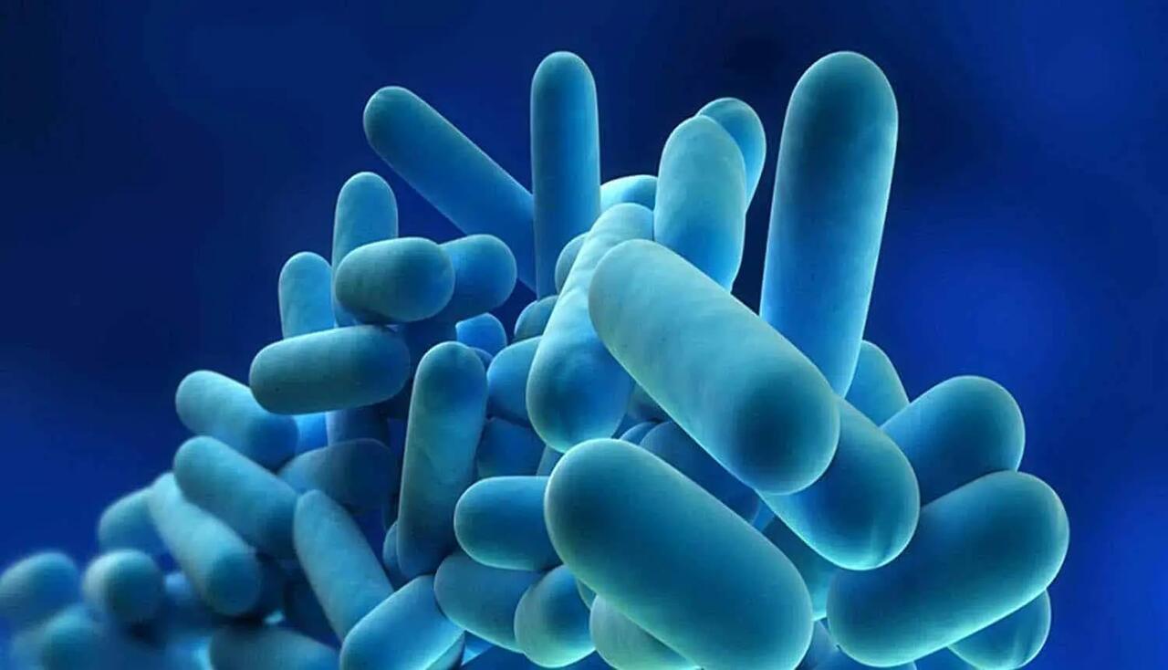 Brianza, allarme legionella in un asilo del territorio: ecco cosa sta succedendo