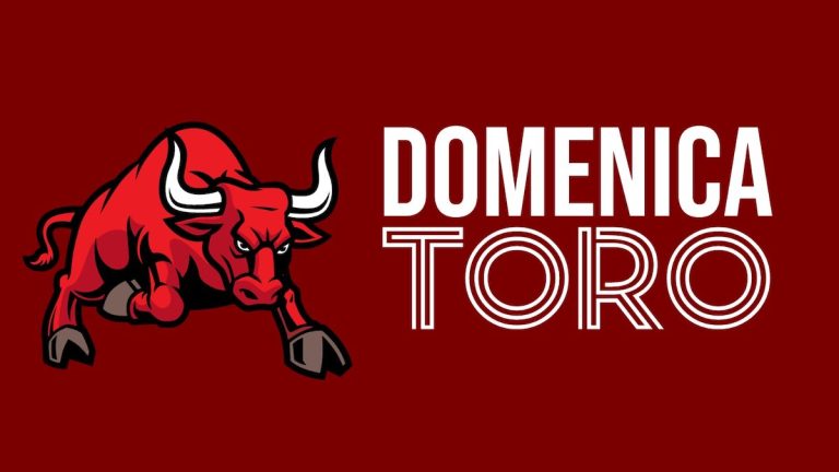 Sunday Toro presents Lecce-Torino, the game of "revenge"