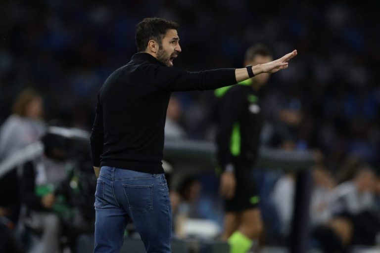 fabregas com bol